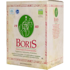 Boris 5 l luomu maitohappobakteerijuoma