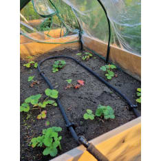 Hortex Lavakallus watering system
