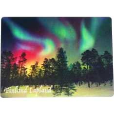 Happy Traveler Nothern lights in the forest 3D magneetti