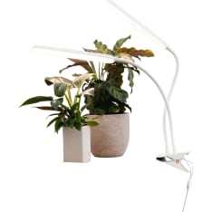 Airam Tulip 16W/840 780lm kasvivalo