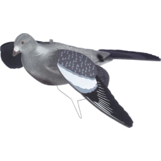 Hunter flying pigeon picture