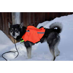 NordicDog Dina GPS-turvaliivi L
