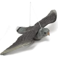 Verdola bird scarer hawk