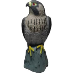Verdola bird scarer falcon