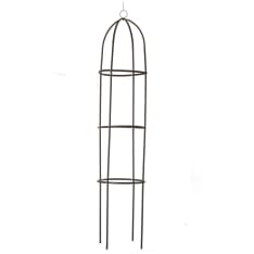 Verdola 190 cm obeliski kasvituki