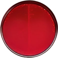 Vigrous Q4 reflector round