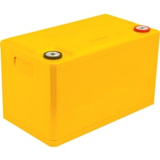 Winston 12 V 100 Ah LiFePO4 battery