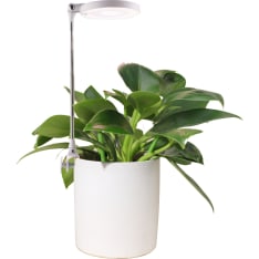 Lumio Lights Easy kasvivalo