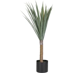 Verdola Real Touch 80 cm Dracaena Artificial Plant