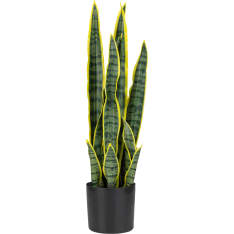 Verdola Real Touch 57 cm Snake Artificial Plant