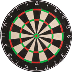 iSport Competition Dartboard