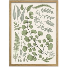 Kotoilu Kasvio 50 x 70 cm canvastaulu kehyksellä