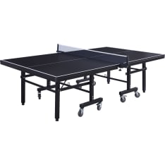 AOT Elite 25 table tennis table