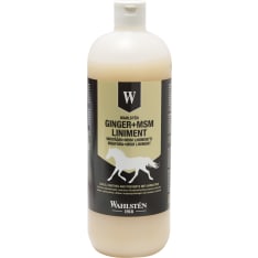 Wahlsten W-Inkivääri & MSM 1 l linimentti
