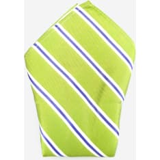 Veniz pocket square striped