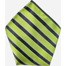 Veniz striped pocket square