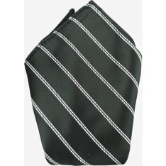 Veniz striped pocket square