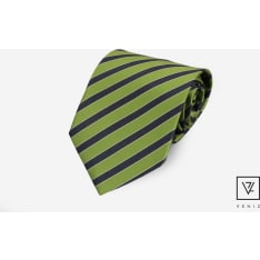 Veniz tie striped
