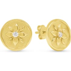 Beat of Love E-16494ZG earrings