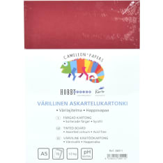 Karto 70 kpl A5 värilajitelma kartonki