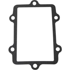 Sno-X valve body seal