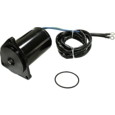 Sea-X Yamaha trim motor