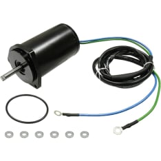 Sea-X Yamaha trim motor