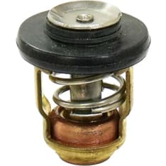 Sea-X Yamaha thermostat