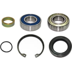 Sno-X Polaris Chain Case Bearing Kit