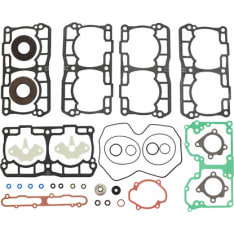 Sno-X Ski-Doo 850 E-Tec Seal kit complete.