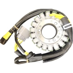 Bronco Can Am stator