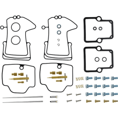 Sno-X Ski-Doo Carburetor Repair Kit
