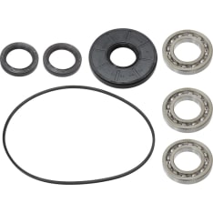 Bronco Polaris rear bearing & Step kit