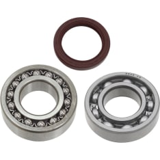 Sno-X Yamaha chain case Bearing kit