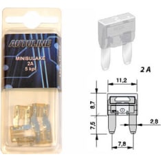 Autoline GM Mini 2A 5pc fuse
