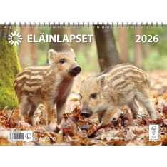 Ajasto Children of Animals 2026 wall calendar