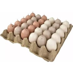 Puttipaja munakynttilät