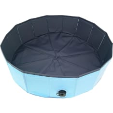 Boogie dog pool