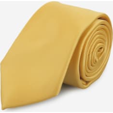 Veniz men's 70mm tie