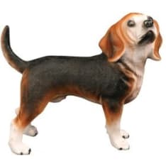 Beagle pehmeä koira