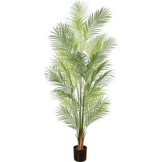 Lykke Areca Palm 150cm tekokasvi
