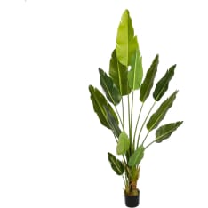Lykke Bird of Paradise 200cm tekokasvi