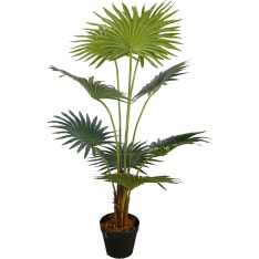 Lykke Fan Palm 100cm tekokasvi
