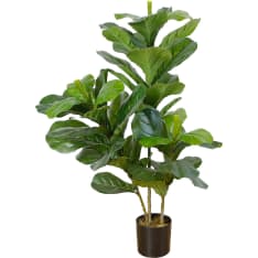 Lykke Fiddle-Leaf Fig 85cm tekokasvi