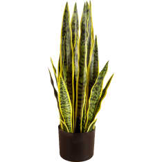 Lykke Snake Plant 65cm tekokasvi