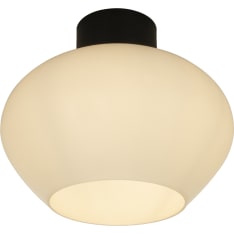 Aneta Lighting Bell iso plafondi