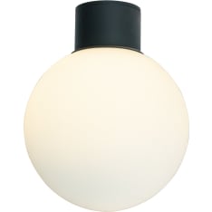 Aneta Lighting Saltvik plafondi ulkovalaisin