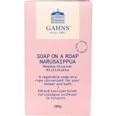 Gahns 200 g of ice cream