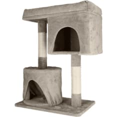 Dogman Luna cat scratching tree
