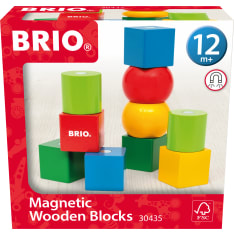 BRIO Magnetic wooden blocks